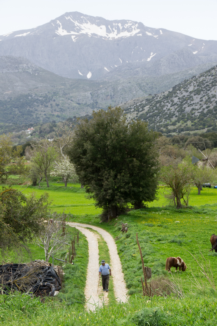 Lasithi-Hochebene