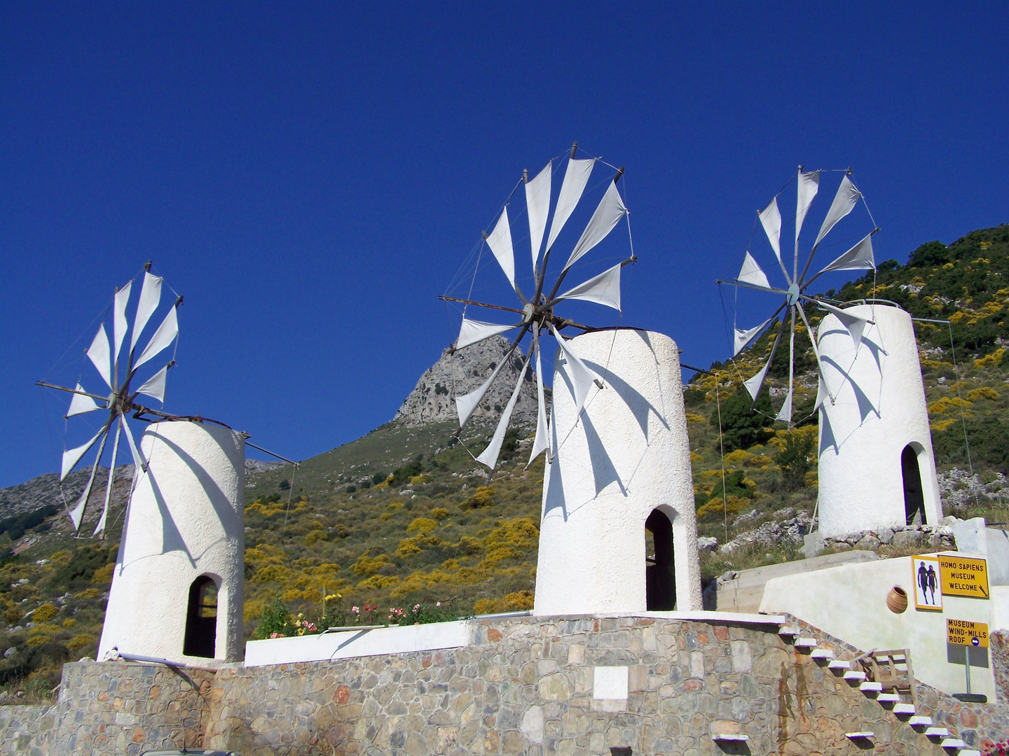 Lasithi Hochebene - Kreta