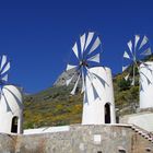 Lasithi Hochebene - Kreta