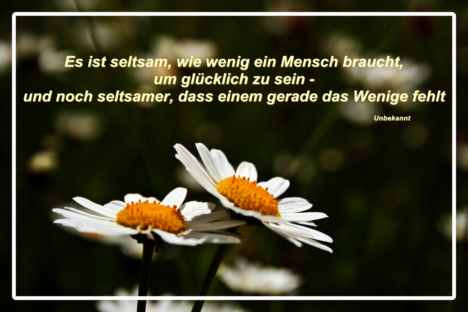 Laß' Blumen sprechen