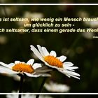 Laß' Blumen sprechen