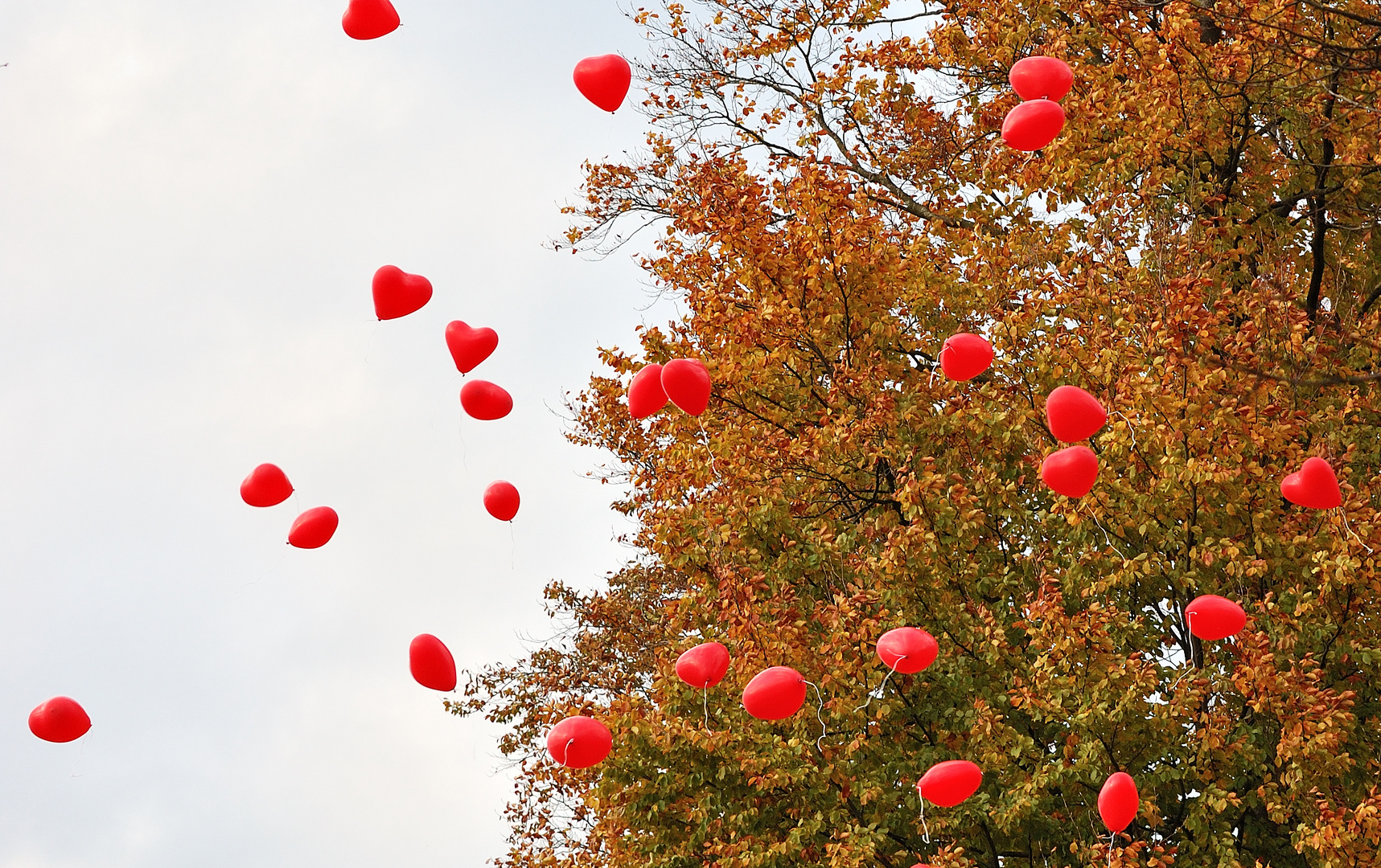 Lass Dein Herz in den Himmel aufsteigen