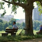 Lass den Gedanken freien Lauf