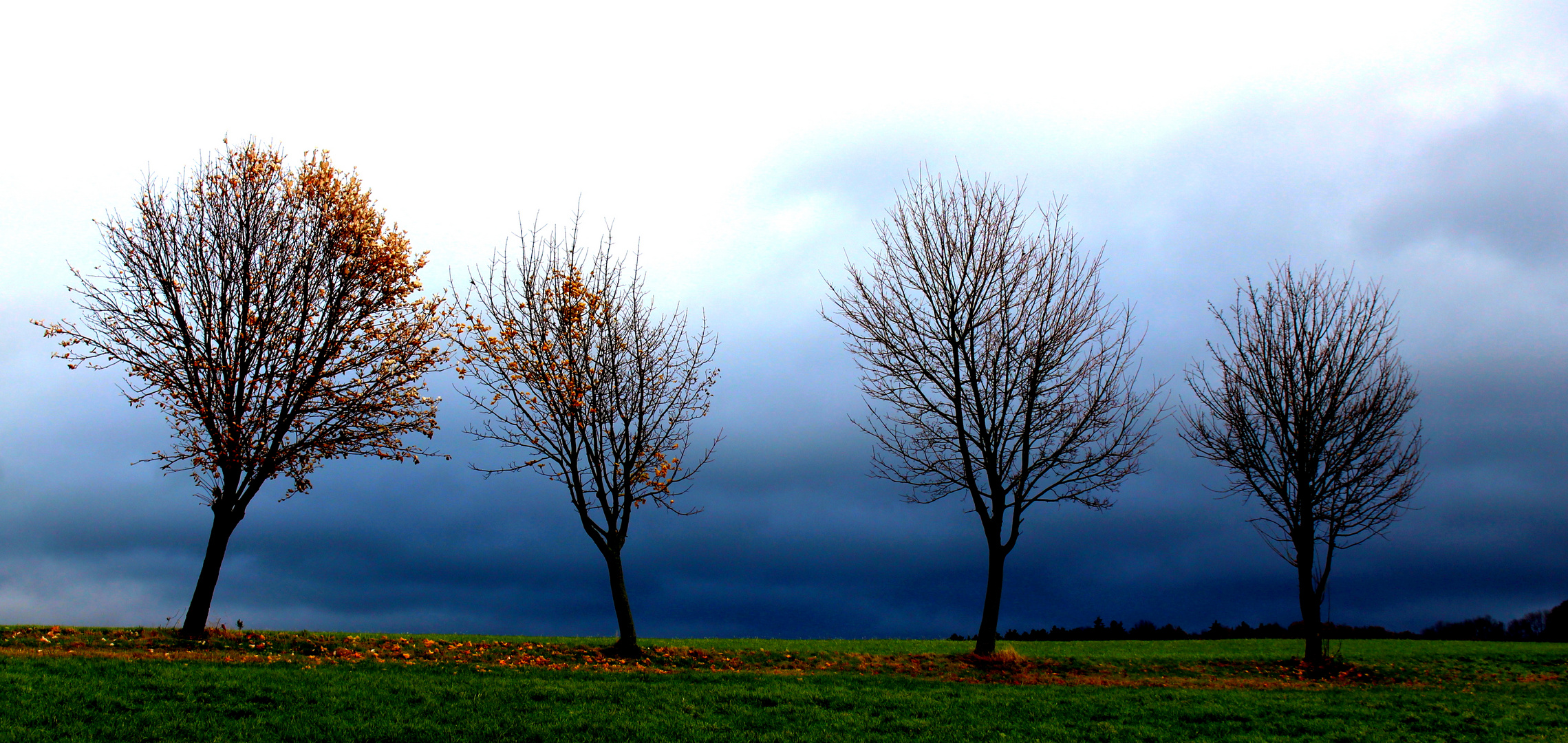 Lass den Herbst gehen