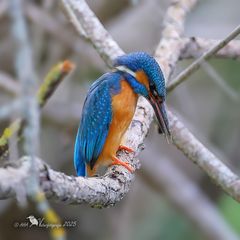 Lass den Kopf nicht hängen...!