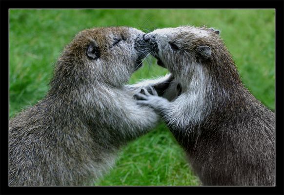 Lass Dich fallen... und genieß den Moment
