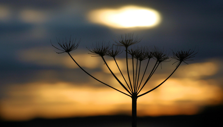 Lass die Abendsonne niemals untergehn