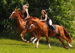 lass die Fetzen fliegen