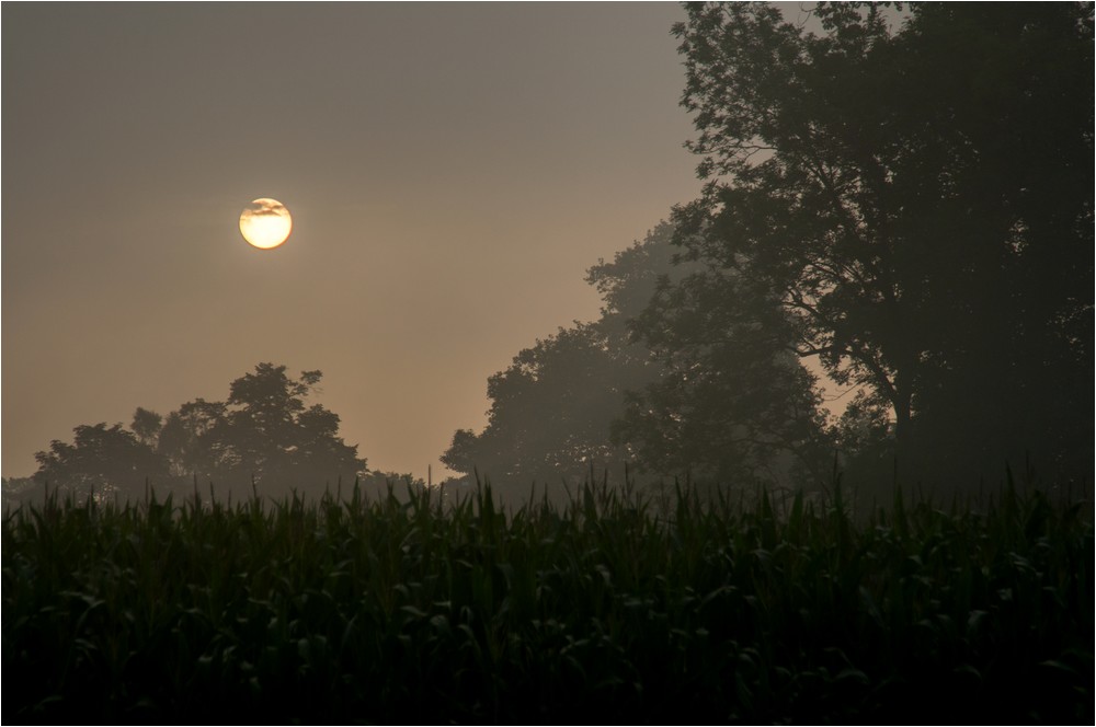 Lass die Morgensonne endlich untergehn