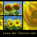 ...lass die Sonne rein