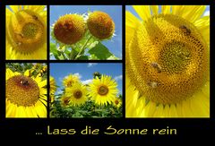 ...lass die Sonne rein