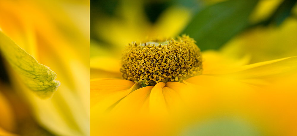 laß die sonne rein