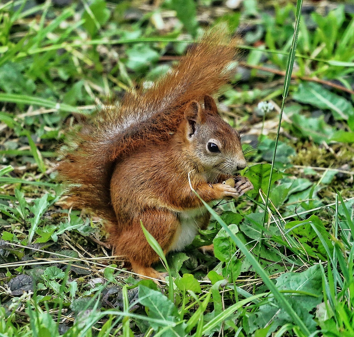 lass es dir schmecken