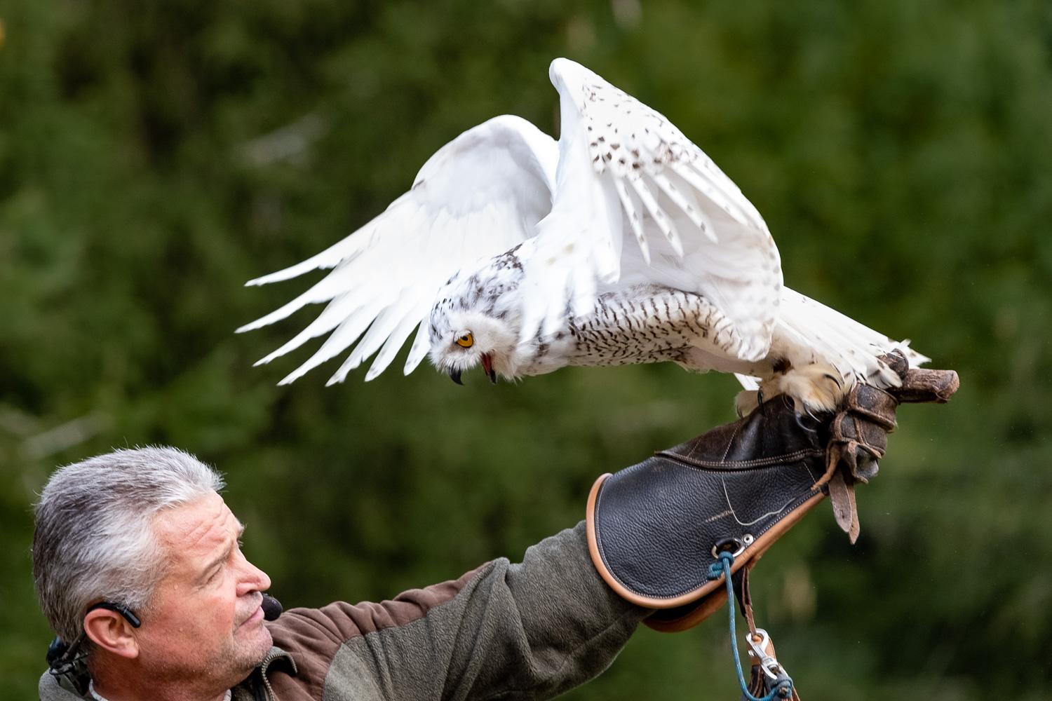 lass mich endlich fliegen