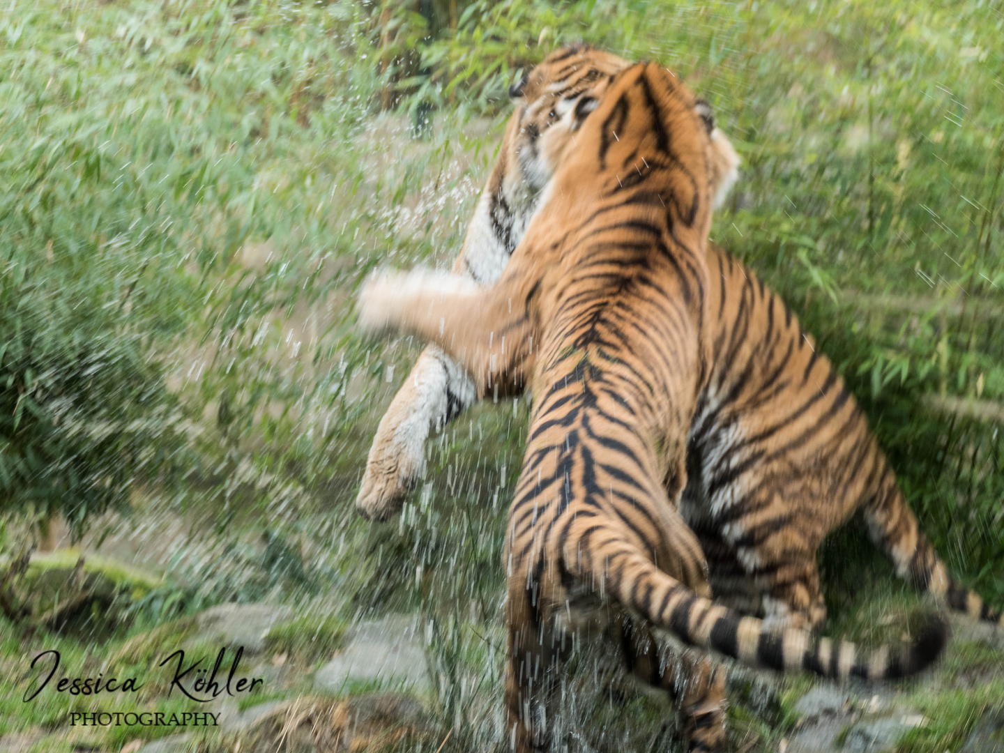 Lass mich in Ruhe baden...