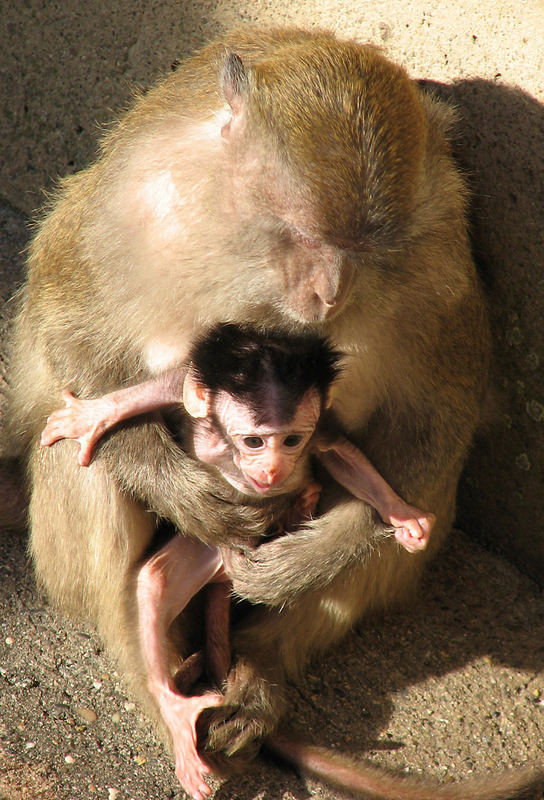 lass' mich los, mama!