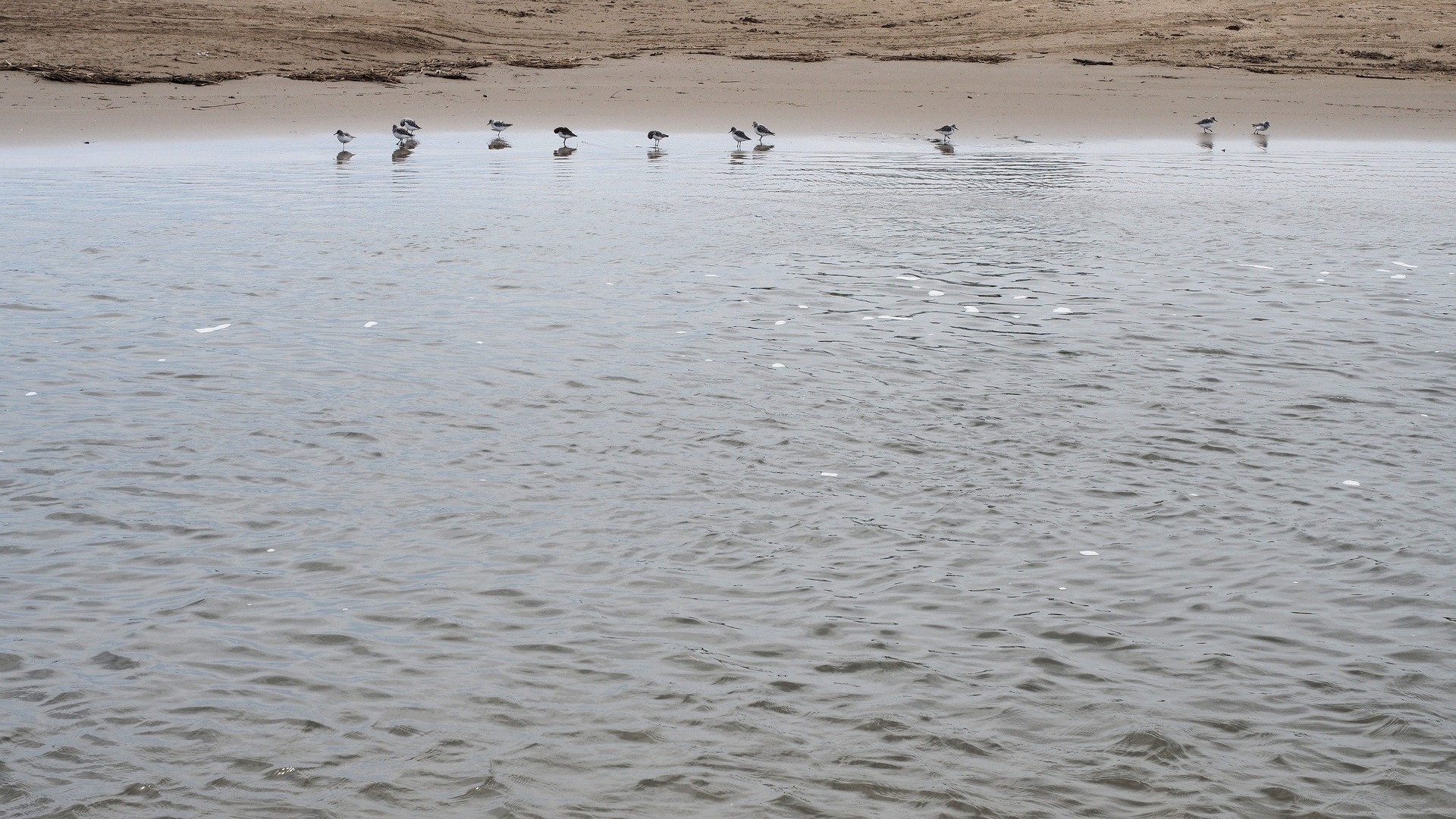 lass uns ans Wasser, es wird heiß ....