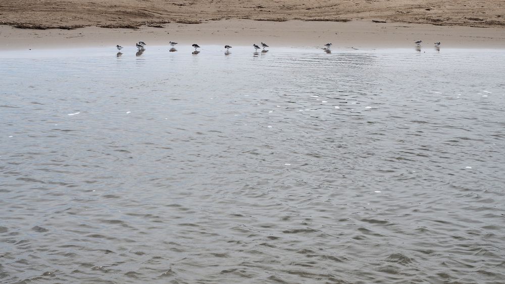 lass uns ans Wasser, es wird heiß ....