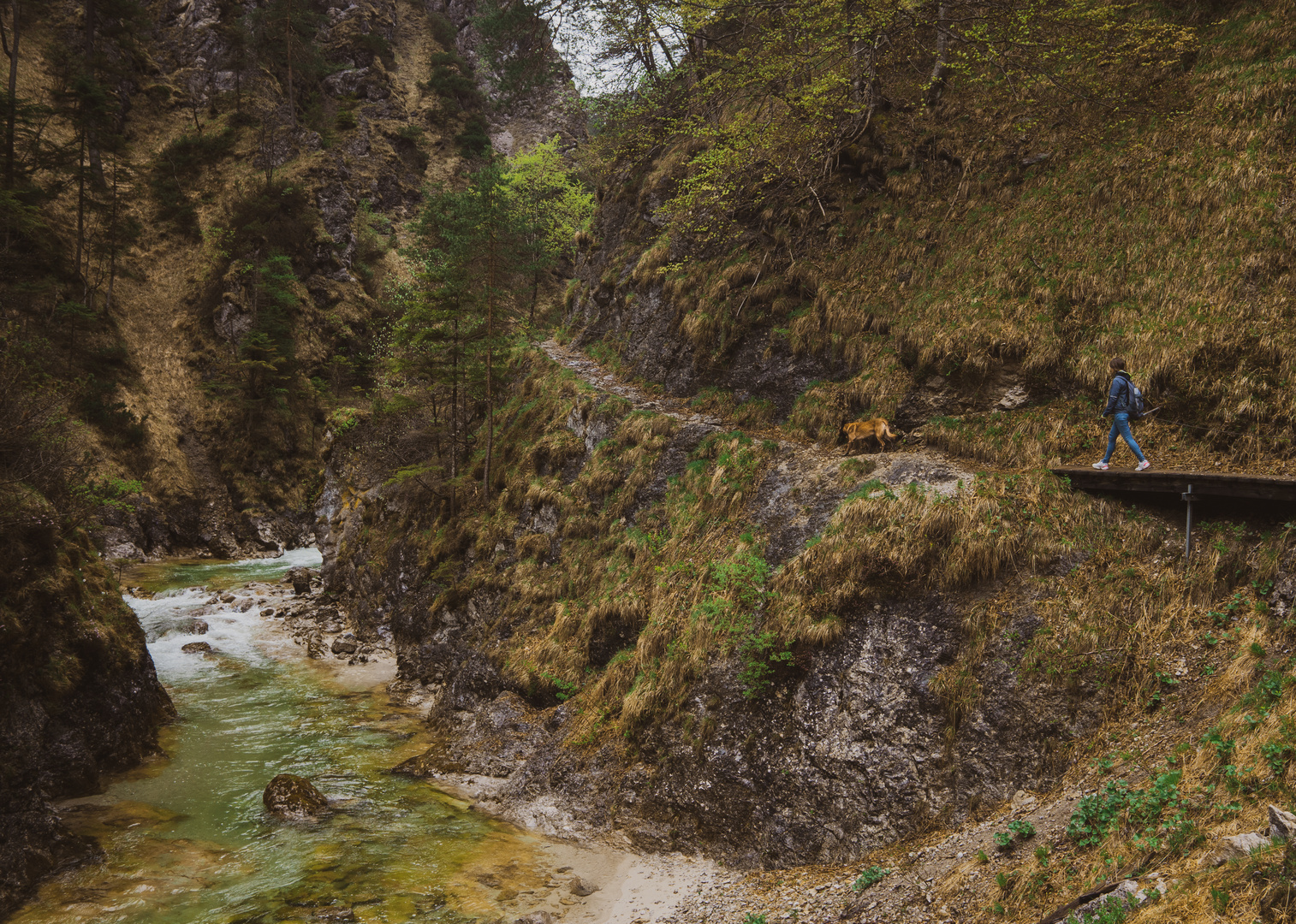 +++ Lass uns durch die Wälder gehen +++