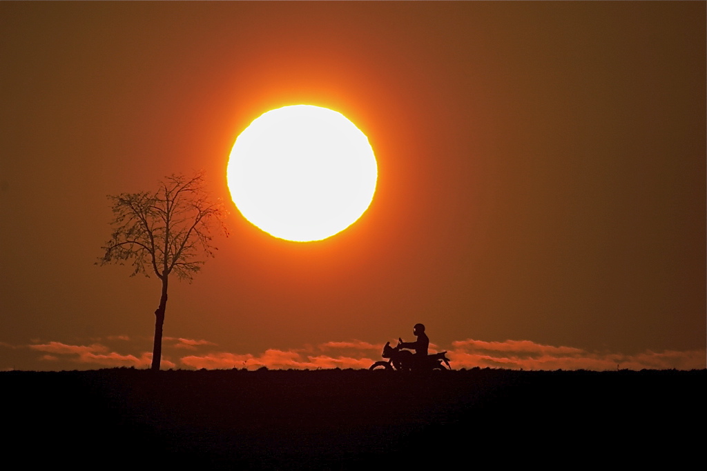 Lass uns nach Las Vegas reiten um die Sonne zu putzen