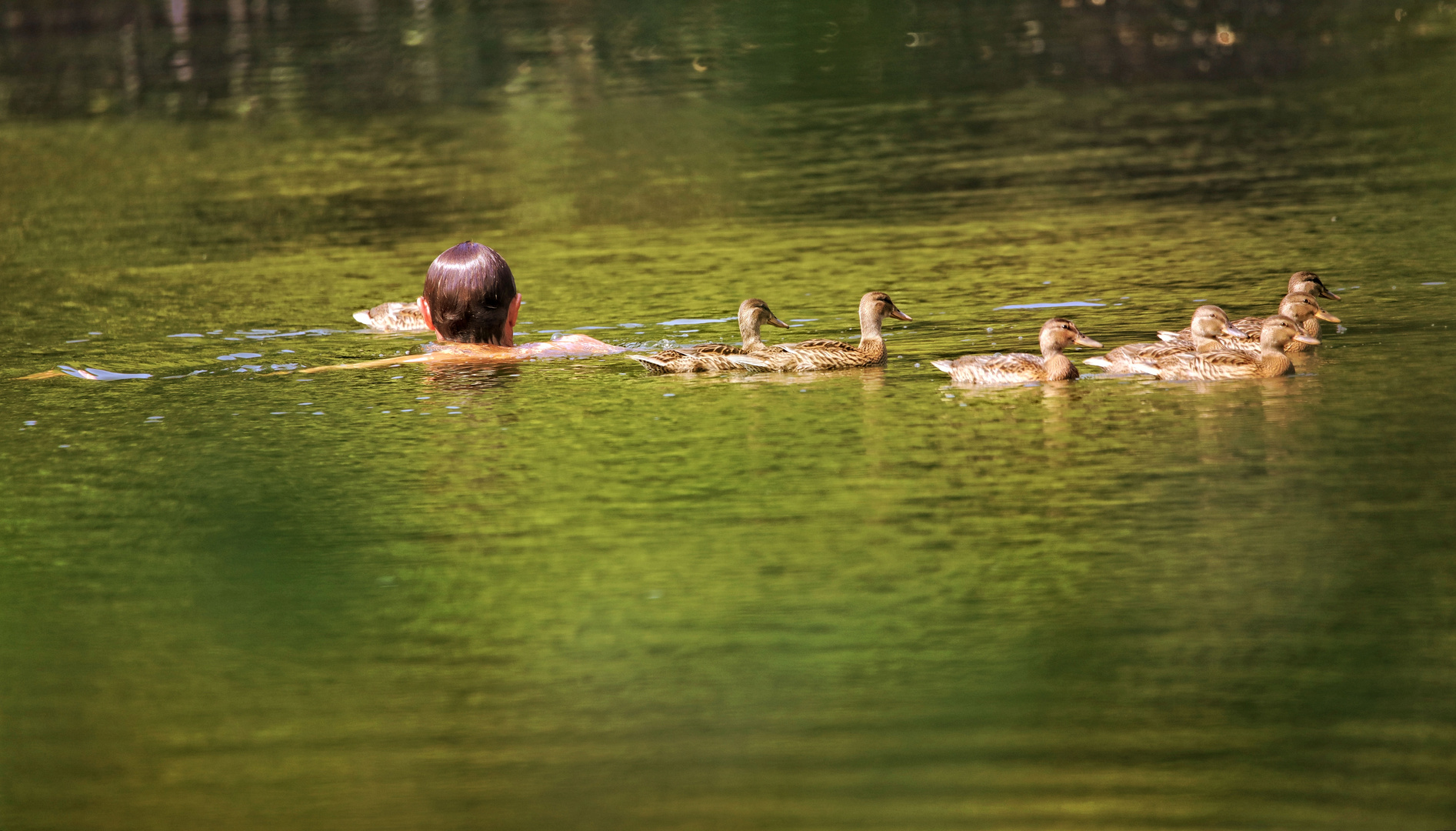 lass uns zusammen eine Runde schwimmen