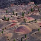 Lassen Volcanic National Park - Painted Dunes