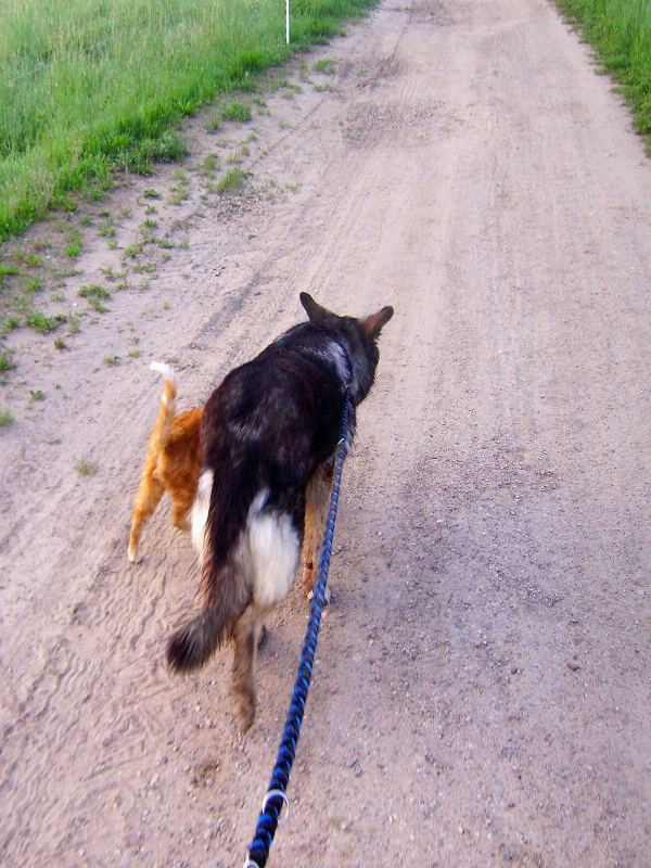 Lassie & Muly 0004     " Der Weg ist das Ziel "