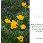 Lasst Blumen sprechen (2)