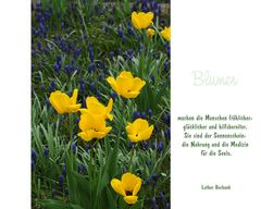 Lasst Blumen sprechen (2)