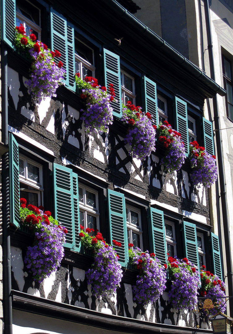 Laßt Blumen sprechen