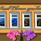 Lasst Blumen sprechen