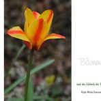 Lasst Blumen sprechen (4)