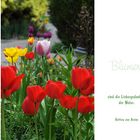 Lasst Blumen sprechen (5)