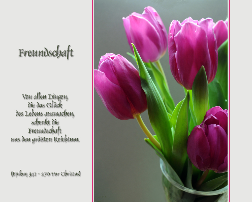 ~Lasst Blumen sprechen~