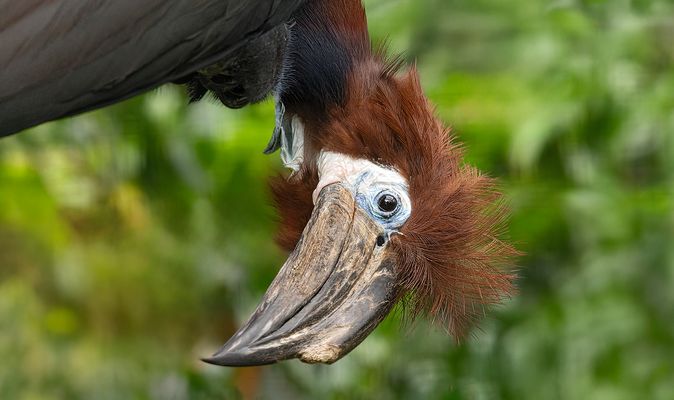 Lasst den Kopf nicht hängen