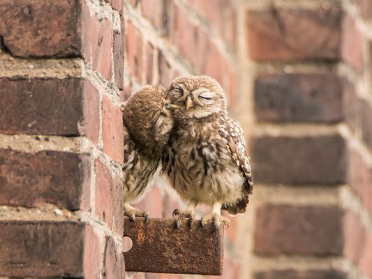 Lasst es Euch gutgehen