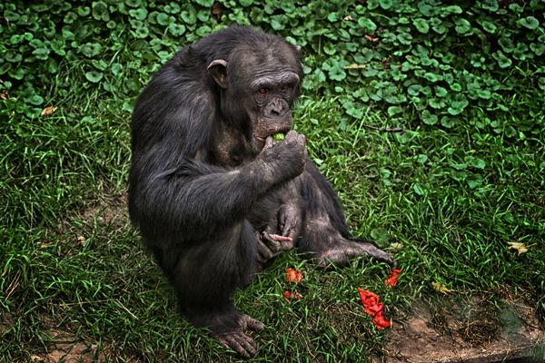 Lasst uns doch einfach....