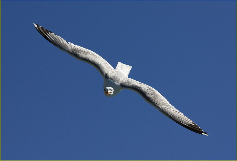 Lassù nel cielo2