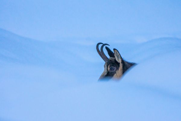 Lassù tra cieli e nevi del paradiso
