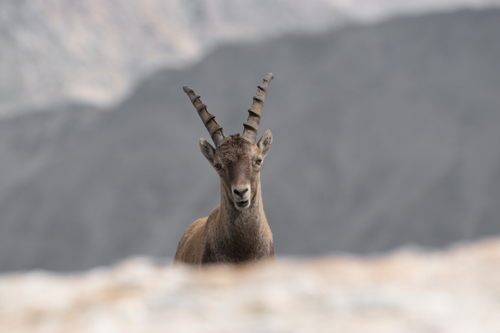 Lassù tra le nuvole 2