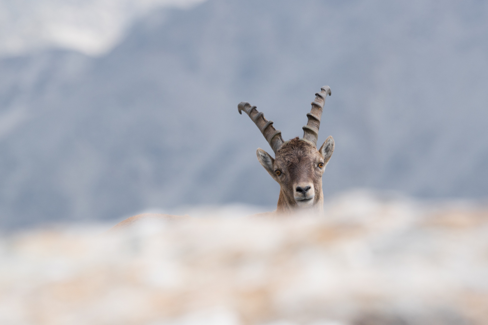 Lassù tra le nuvole