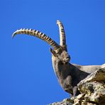 Lassù......tra roccia e cielo....