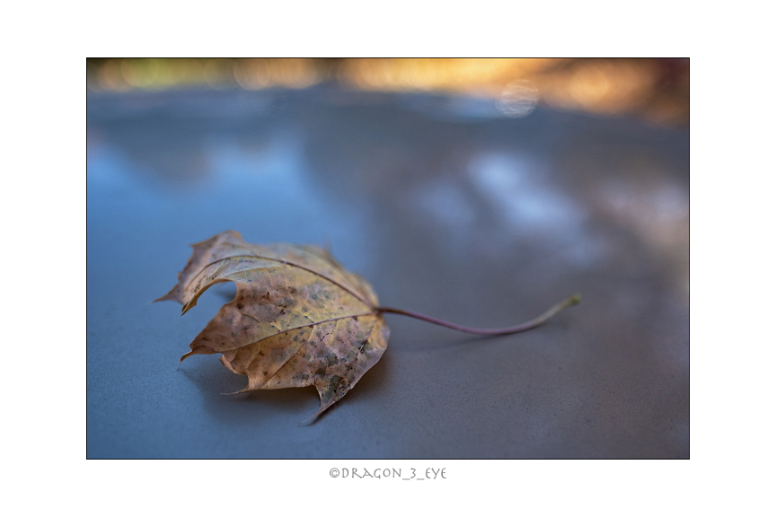 Last Autumn Days 34 