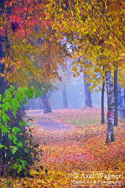 Last Autumn In Balingen / Germany