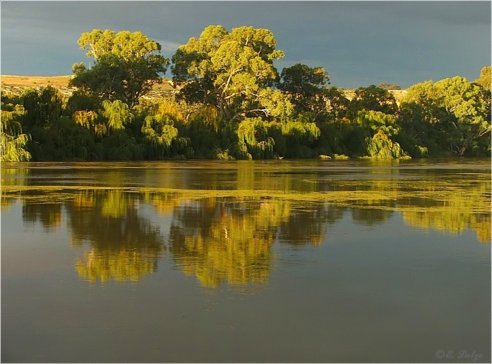 Last Burst of Sunshine on the Murray