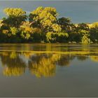 Last Burst of Sunshine on the Murray