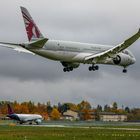 Last Dreamliner Landing in Tegel # 4