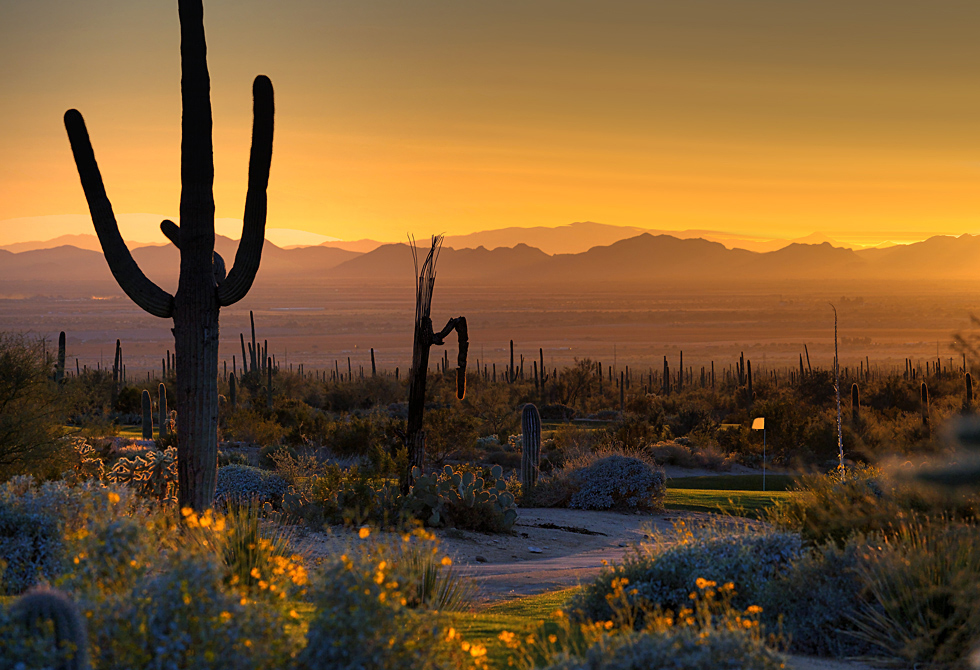 last light at the desert