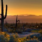 last light at the desert