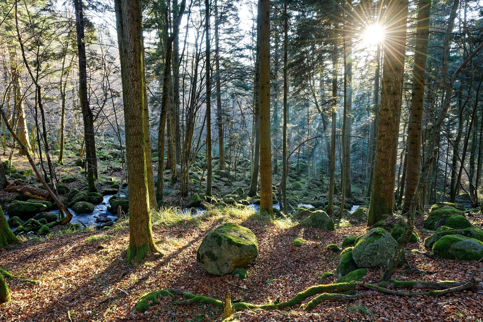 Last light in the valley 